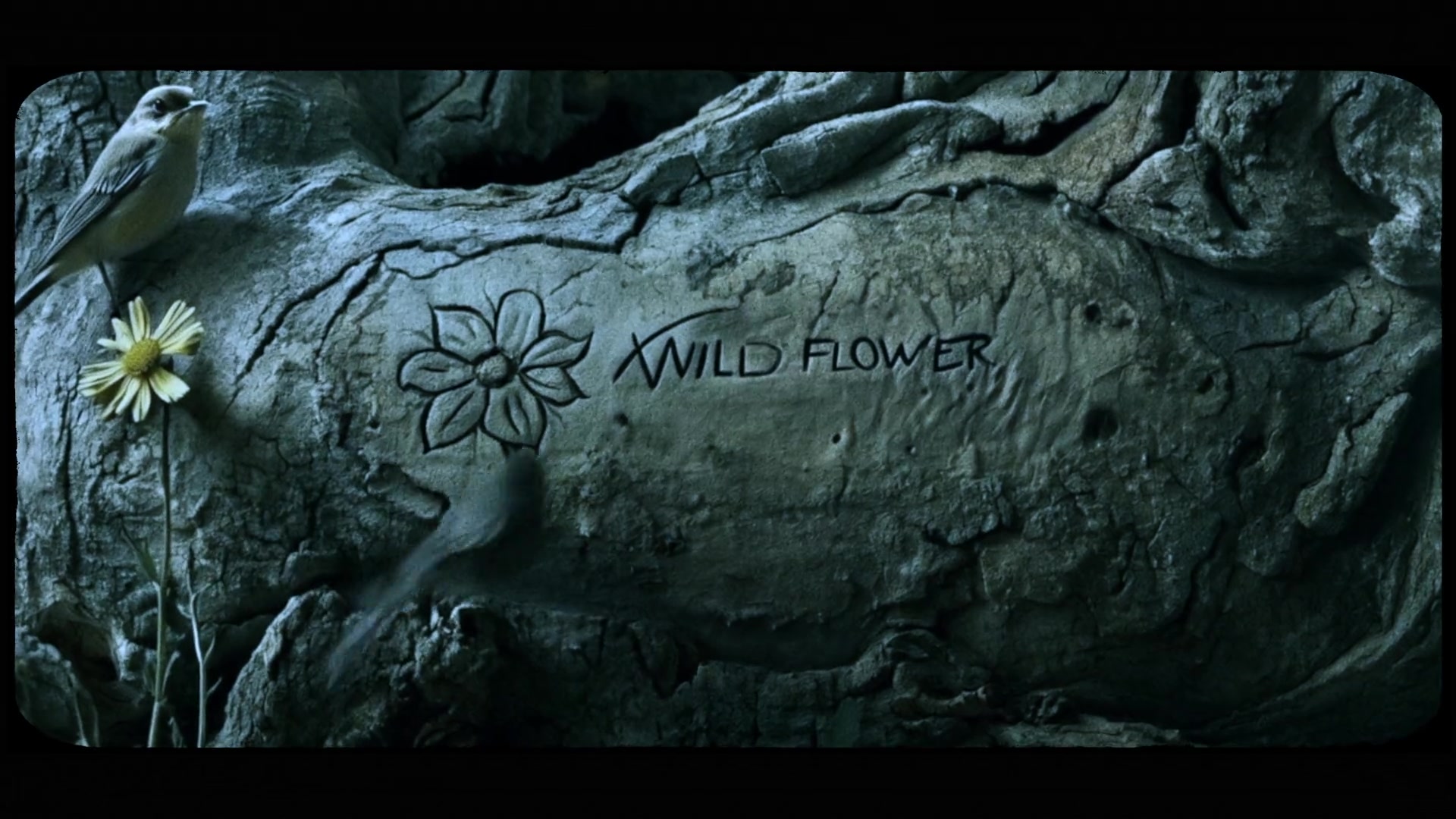 Billie Eillish - Wildflower