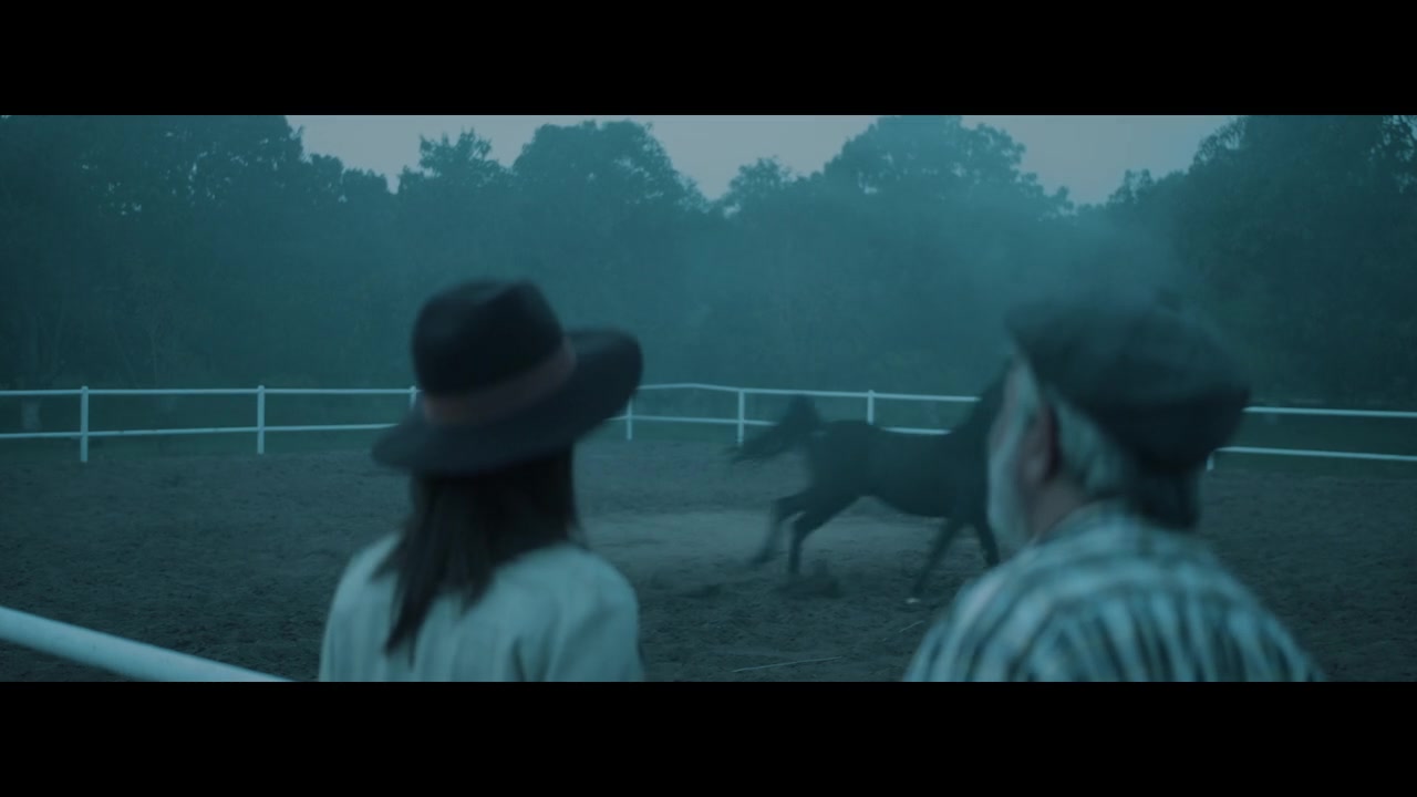 Etisalat – The Horse Whisperer