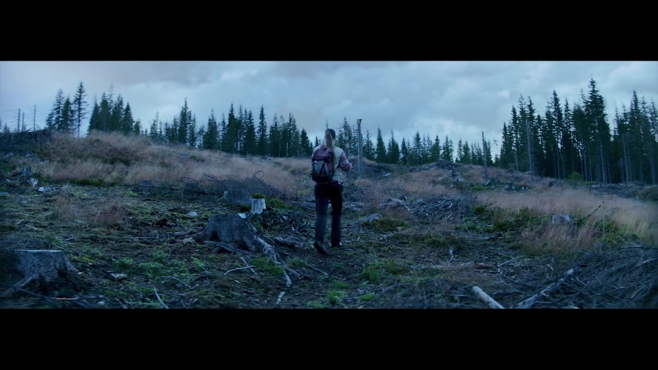 Cisco – The protector