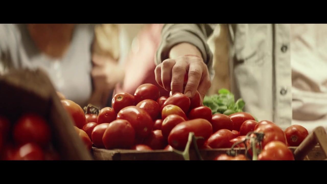 WINIARY TOMATE FRITO