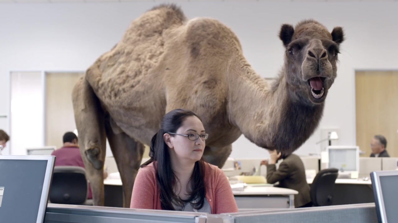 GEICO – Hump Day