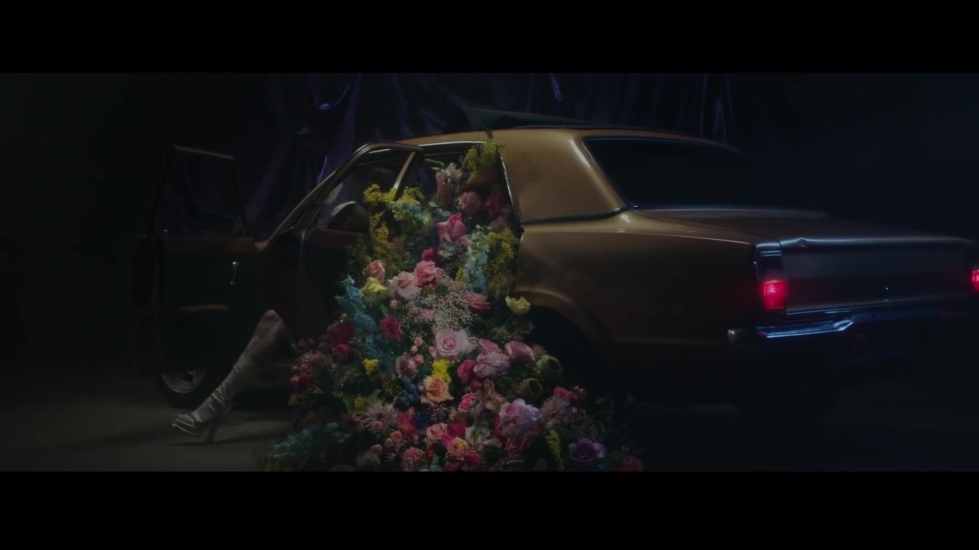 Shay – NOTIF