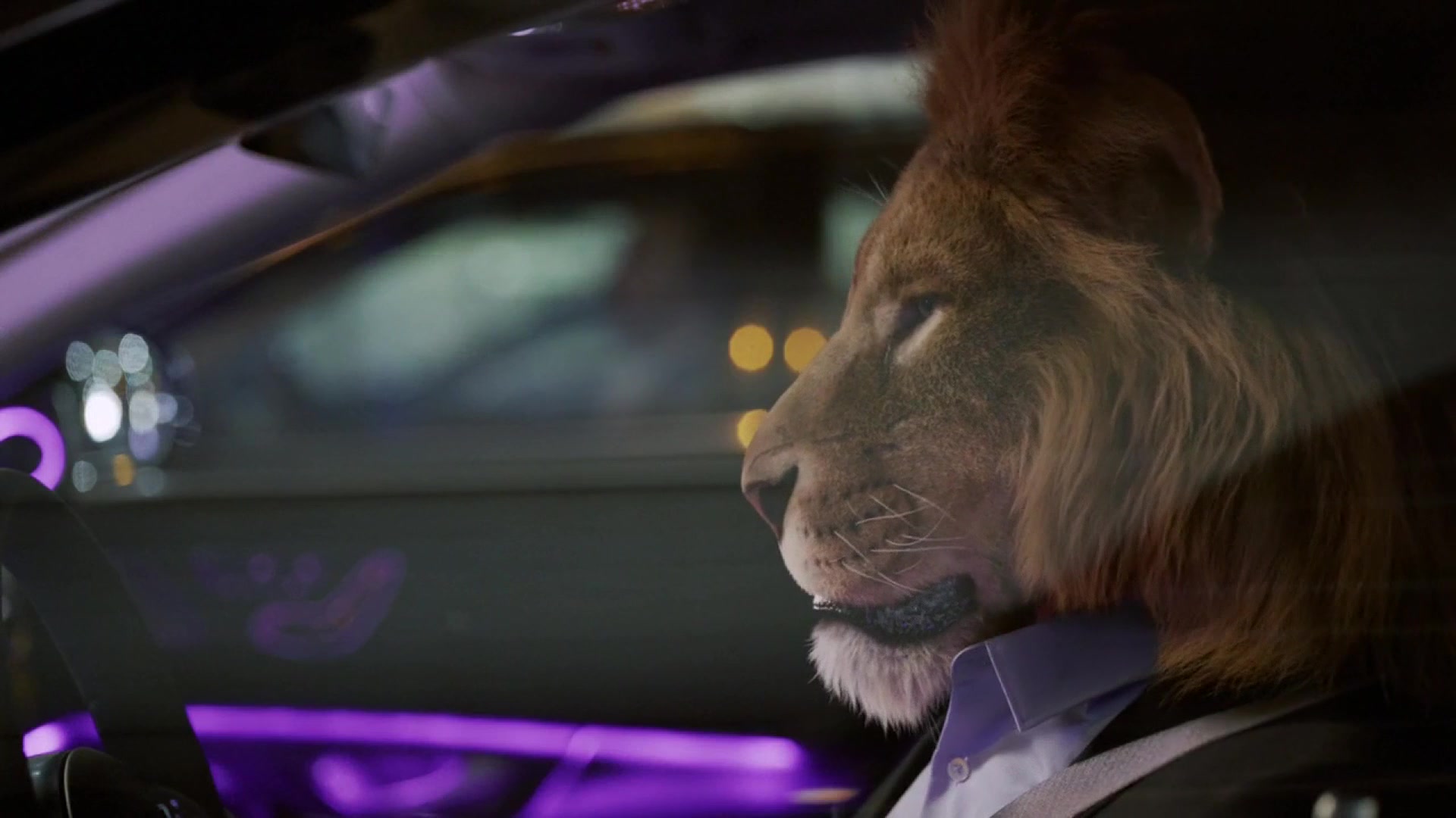 MERCEDES – King Of The Jungle
