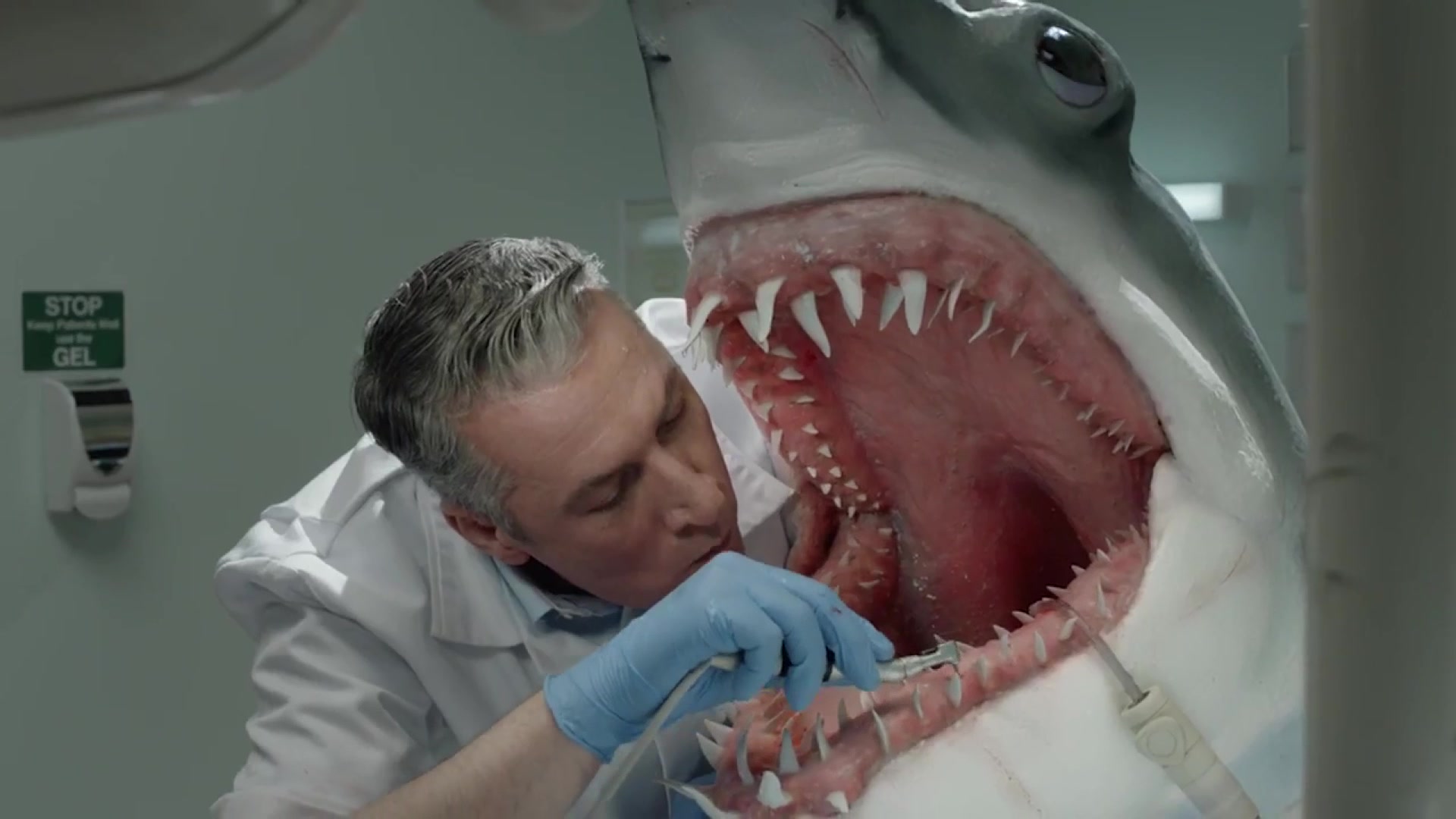 KAYAK – Shark Dentist